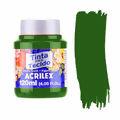 tinta verde acrilex verde musgo 513